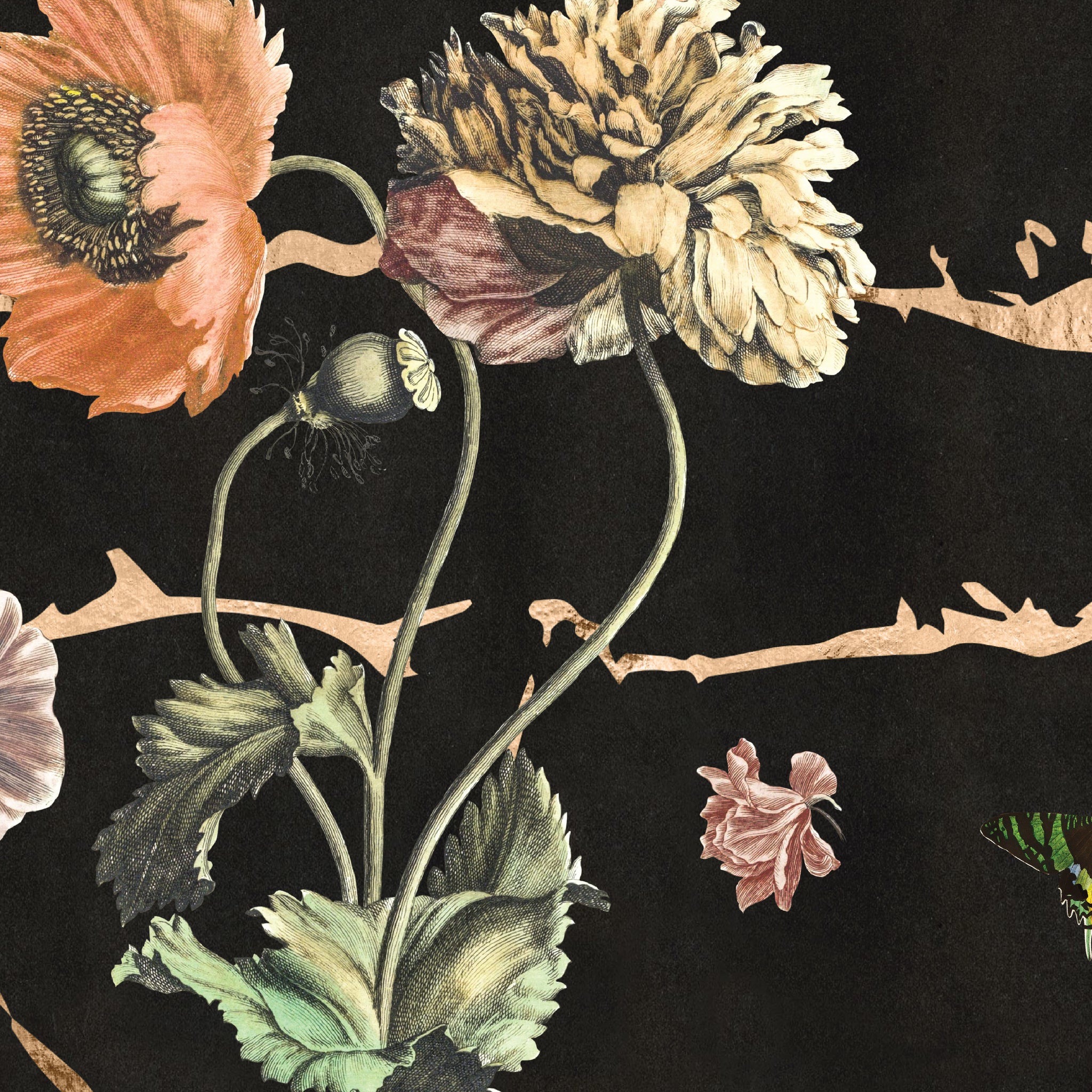 a close up of the black and gold pattern